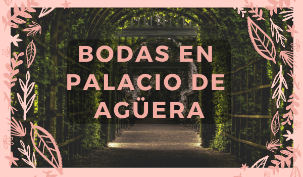 Bodas en palacio de agüera